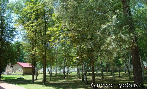 База отдыха «Лесная поляна»