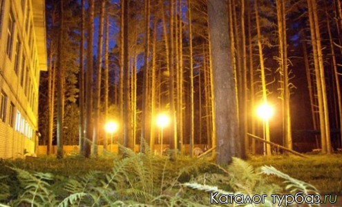 Лесной воздух