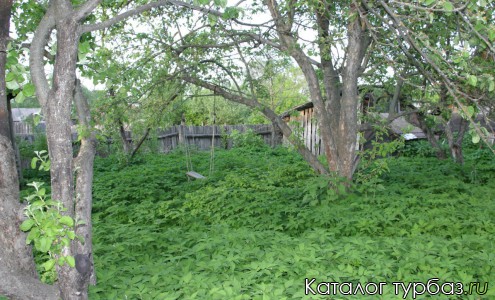 Турбаза «Верхом по Мещере»