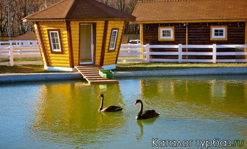 Конно-спортивная база отдыха «Виктория»