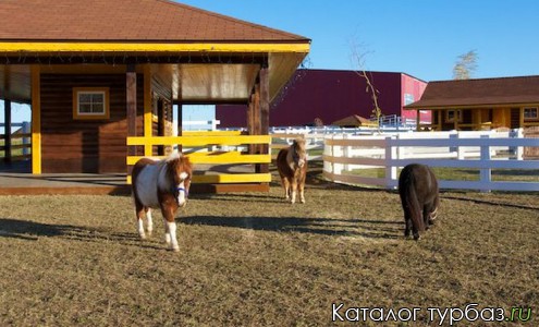 Конно-спортивная база отдыха «Виктория»