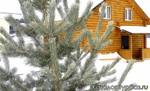 База отдыха «Белый берег»