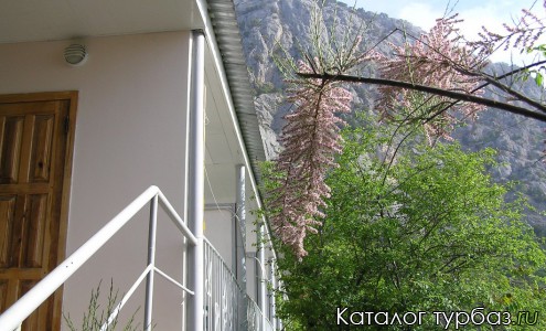 База отдыха «Чайка»