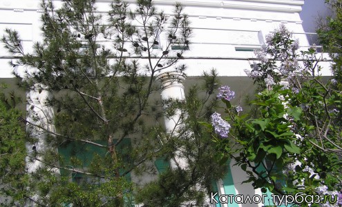 База отдыха «Чайка»