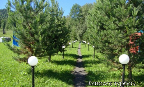 Турбаза «Белый марал»