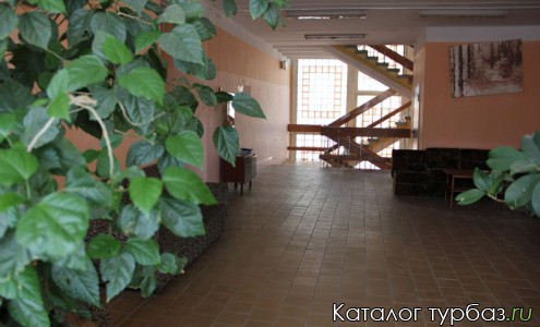 База отдыха «Родничок»