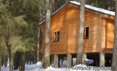 База отдыха «Гнездо»