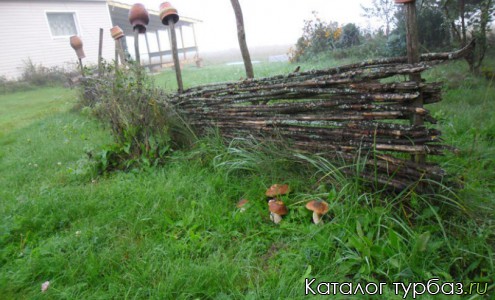 База отдыха «Райский бережок»