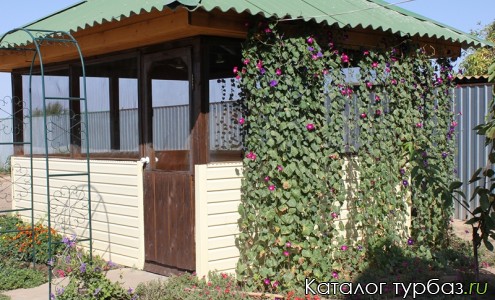 Тихий причал