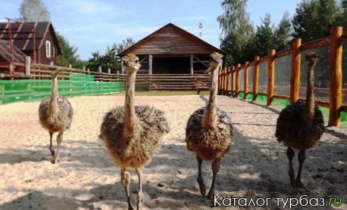 База отдыха «Коприно»