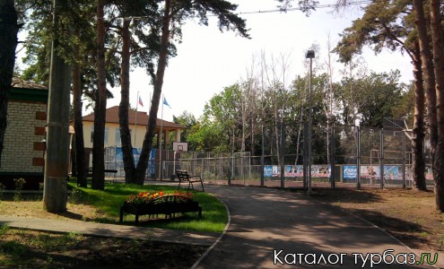 Общий вид корт