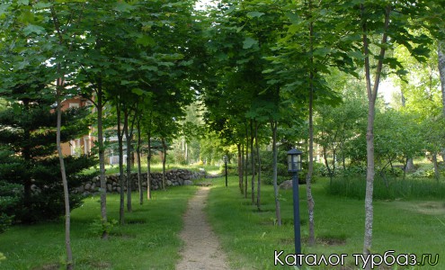 5 Га ухоженного сада