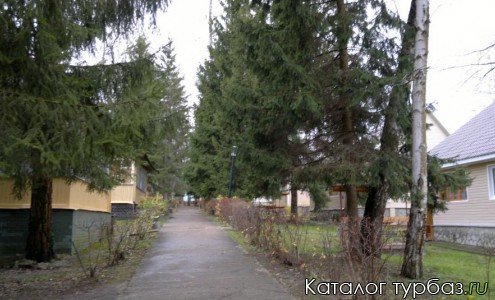 База отдыха «ОТЭК Таруса»
