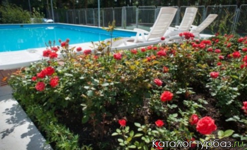 База отдыха «Росинка»