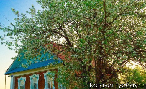 База отдыха «Юшут»