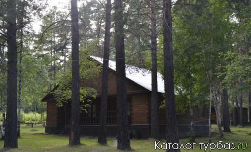 Кемпинг «Елочка»