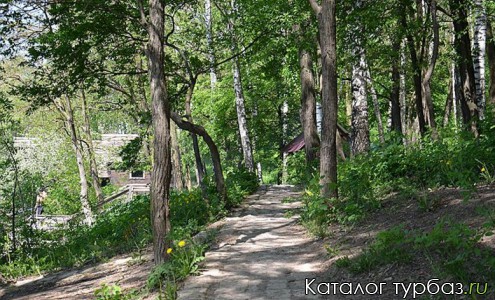 База отдыха «Комарово»