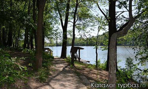 База отдыха «Комарово»