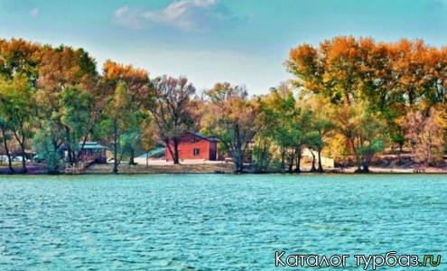 База отдыха «Золотой карась»