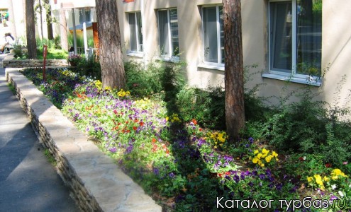 База отдыха «Салют»