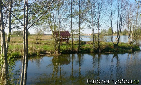 База отдыха «ЭкоОстров»