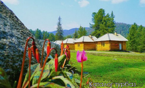 Гостевой дом «Кедровый»