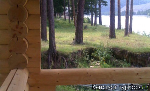 Гостевой дом «Кедровый»