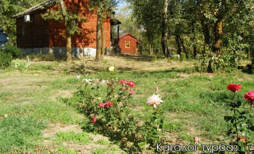 Золотая Дельта