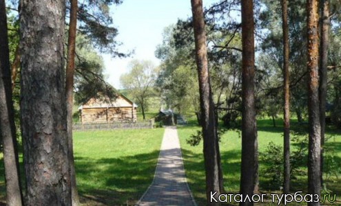 База отдыха «Сосенка»