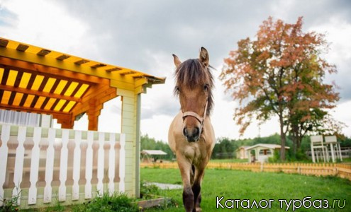 База отдыха «Прислон»