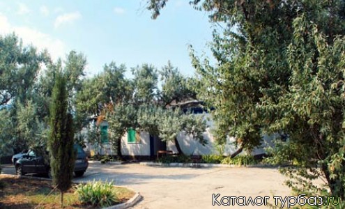 База отдыха Лаванда