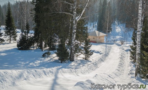 База отдыха «Кедровка SPA»