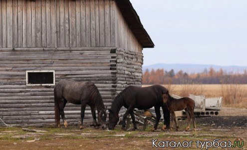 База отдыха «Мишкина берлога»