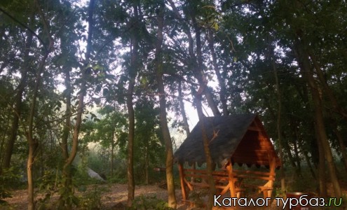 База отдыха «Золотой карась»