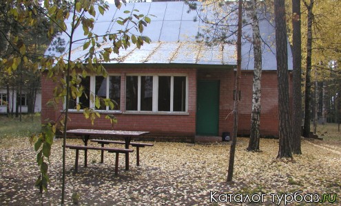 Сосновый бор