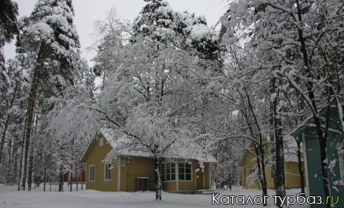 Сосновый бор