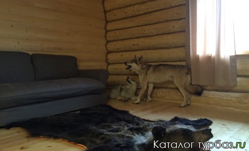 База отдыха «Царская охота»