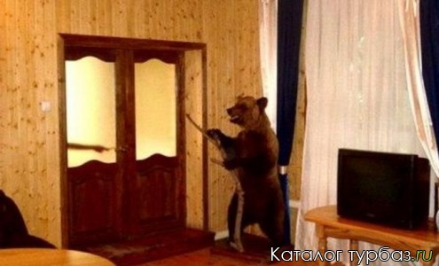 База отдыха «Еркова - XXI век»