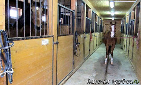 Усадьба «Роминтен»