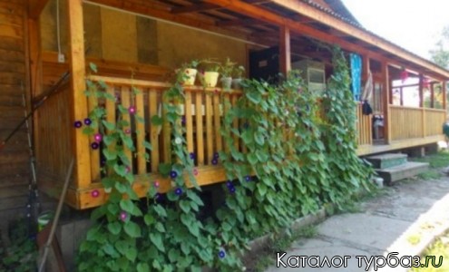 База отдыха «Ущелье Дарданеллы»