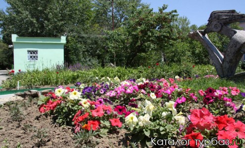 База отдыха «Лаванда»