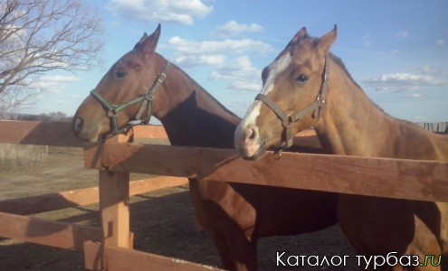 База отдыха «Бояринцево»