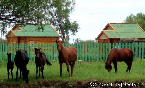 База отдыха «Заповедник»