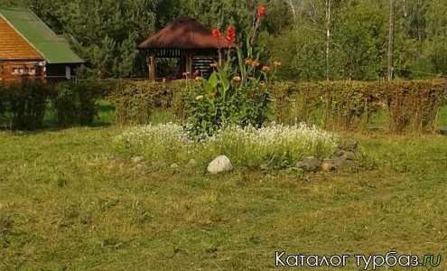 Турбаза «Дикий берег»