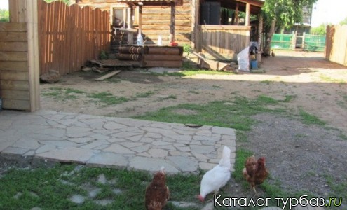 База отдыха «Данилова горка»