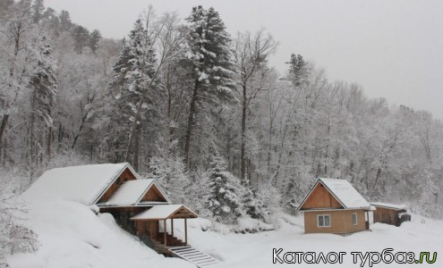 База отдыха «Пасека Лесная»