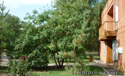 База отдыха «Дружные ребята»