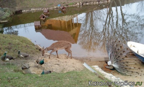 Загородный клуб «Империя Кочаки»
