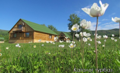 База отдыха «Дивная»