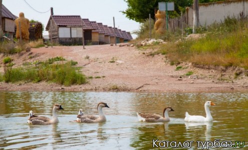 База отдыха «Сказочная долина»